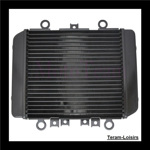 Radiateur pour kawasaki 5 - pour, er-5