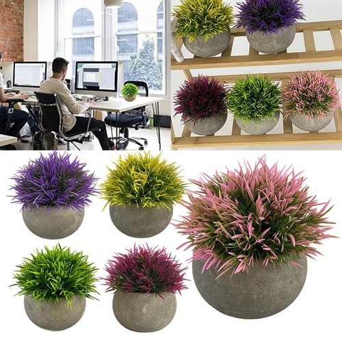 Arbustes topiaires gazon - arbustes,