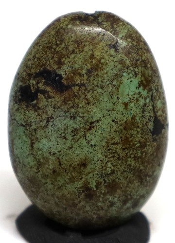 Belle perle turquoise - , verte