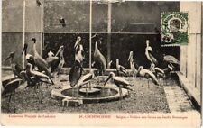 Old postcard AK Vietnam Aviary to Cranes, Saigon. INDOCHINA (1284301)