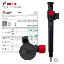 Injecteur pour Ford Peugeot