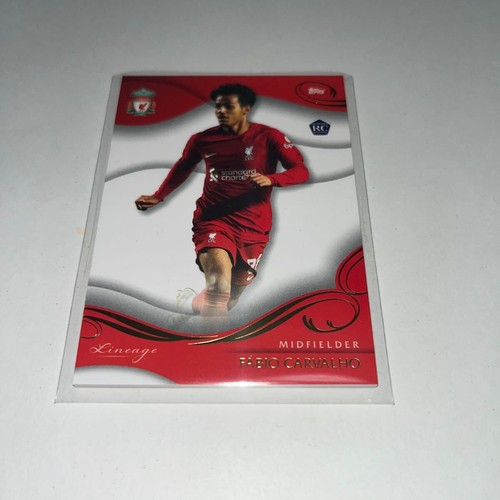 Fabio carvalho liverpool line - fabio,