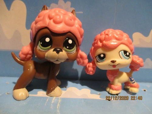Petshop duo chien - :, dogue