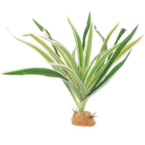 Décor terrarium plantes - terrarium, À