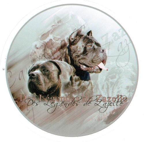 Autocollants design cane - cane, corso