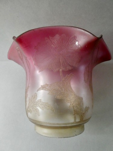 Tulipe lampe pétrole - tulipe,