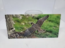 NESLE - WONDERS OF THE WORLD: VINTAGE 1980 "THE PEELERIN FALCON #299" CARD