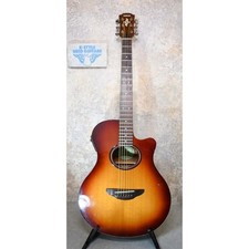 Guitare électrique acoustique