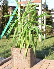 Moule Clôture Pilier & Colonne Boîte Décorative Béton Protection Jardin...