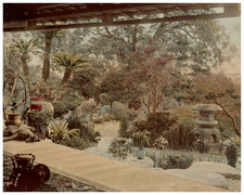 Japan, garden view from veranda d&#039;a Japanese tea room, a dog