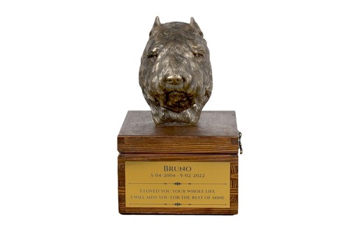Bouvier des flandres - des, sur