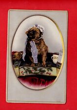 DB47-4 HUMOR CARDS -DOG-1900