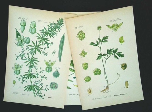 1886 lithographies lot 3 - lot, de