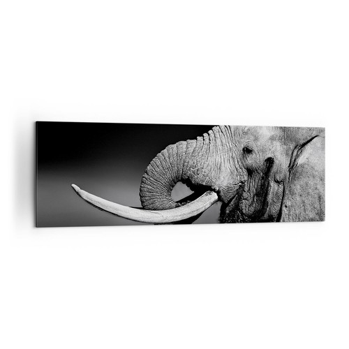 Impression sur toile 160x50cm - impression,