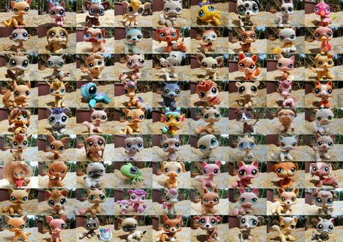 Lps littlest petshop - lps,