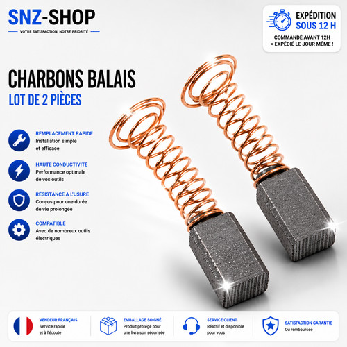 Charbons balais parkside - charbons,