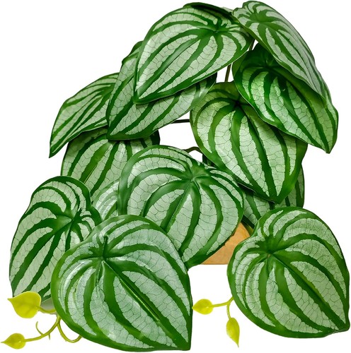 Reptile plants terrarium decor - reptile,