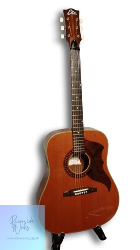 Guitare acoustique vintage - , eko