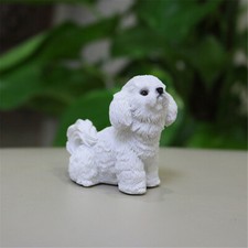 JJM Mini Bichon Frise Dog Pet