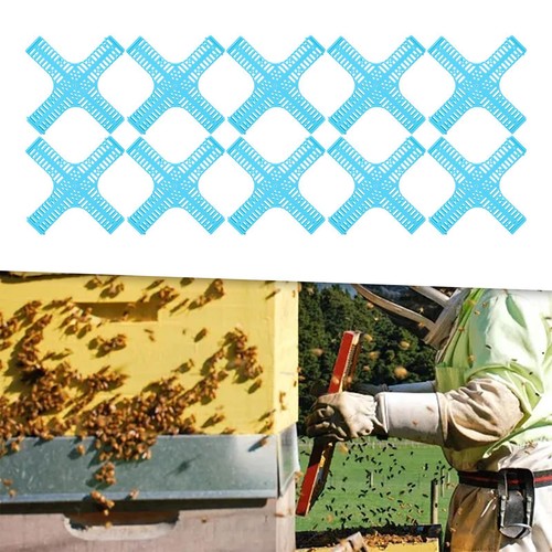 10x cages reine des - reine,