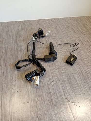 Faisceaux électrique yamaha - faisceaux,