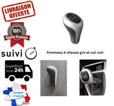 POMMEAU DE VITESSE SERIE 1 3 5
