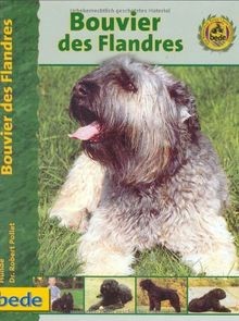 Bouvier des flandres - bouvier,