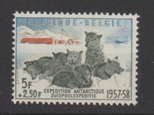 Belgium 1957 cob 1031 - belgium, 1031**