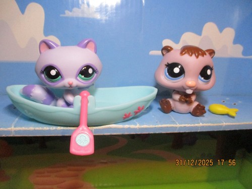 Petshop duo raton laveur - petshop, raton-laveur