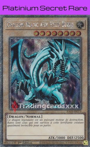 Dragon blanc aux - dragon,