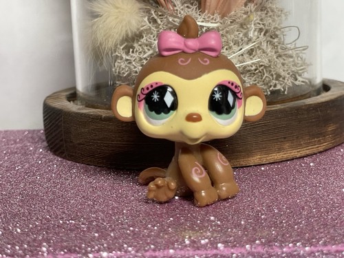 Petshop singe capucin - singe,