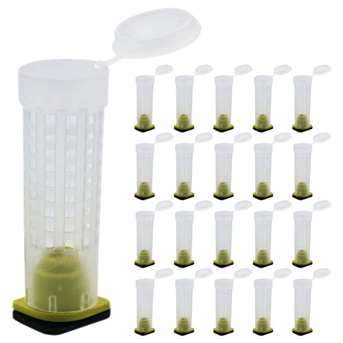 Pcs cages abeilles en - abeilles,