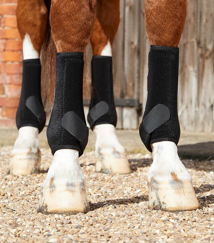 Guêtres protèges jambes - guêtres, protèges-jambes