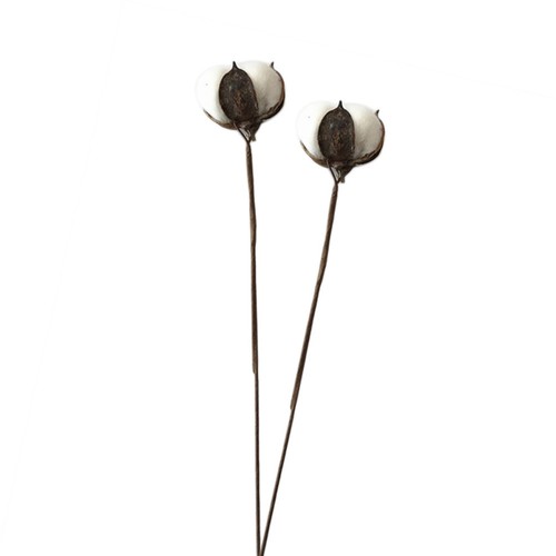 Coton artificiel fausse - artificiel, fleur