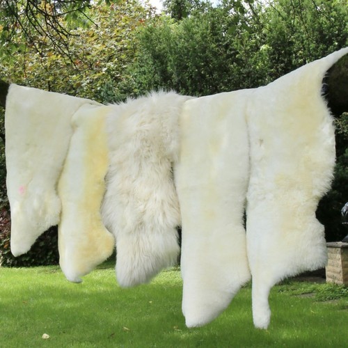 Peau mouton blanc - de,