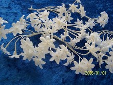 Antique Wax Flower Bouquet for Bridal Wreaths. Ref No. 482