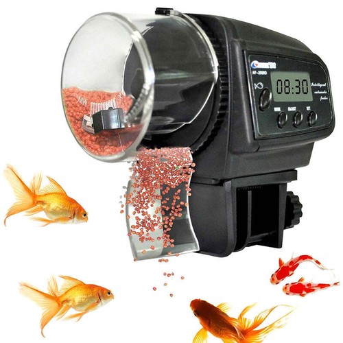 Aquarium distributeur - , de