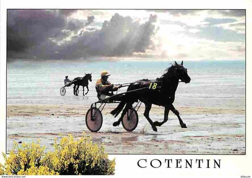 Carte postale animaux - postale,