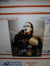 Sting WWE WWF Wrestling Champion Signed 8x10 photo COA