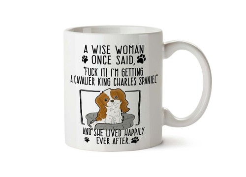 Funny cavalier king - king, charles