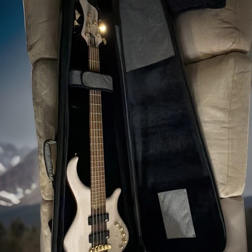 Mayones patriot string - mayones, 5-string