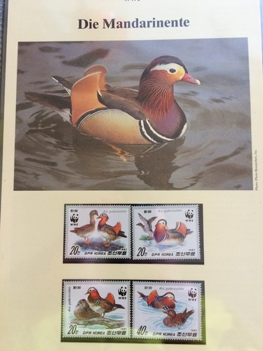 Timbres wwf cartes maximum - timbres,