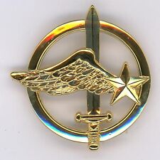 Drago Air Commandos Beret Badge