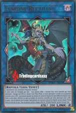 ♦Yu-Gi-Oh!♦ Echidné