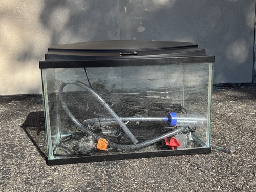 Fish tank aquarium - fish,