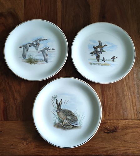 Lot assiettes anciennes - lot,