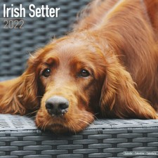 Calendrier 2022 - SETTER