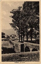 CPA AK LUCCA Le mura ITALY (447484)