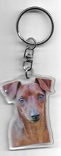  PINSCHER CHIEN PORTE CLES /