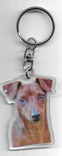 Pinscher chien porte cles - ,